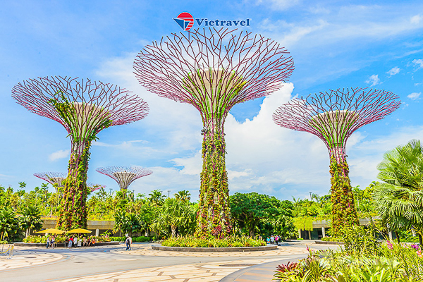 Tour information: Singapore 4 ngày 3 đêm (Tặng vé tham quan Cloud Forest và Flower Dome, Khu vườn giác quan Sensory Scape)